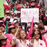 Marea Rosa reaparece y convoca marcha contra "el autoritarismo"