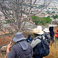 Buscadores de Guanajuato piden asistencia internacional