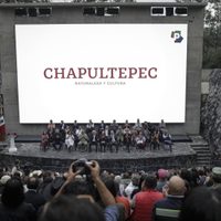 Arte/Ver para creer El arte en la 4T: discrecionalidad en hermandad