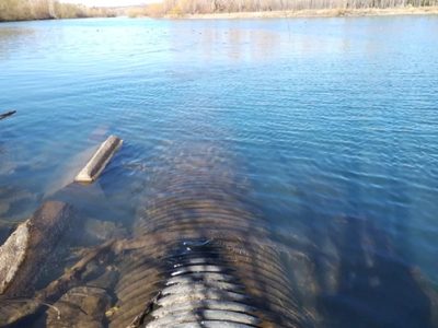 Denuncian que la planta Tronador vierte líquidos cloacales al río Limay