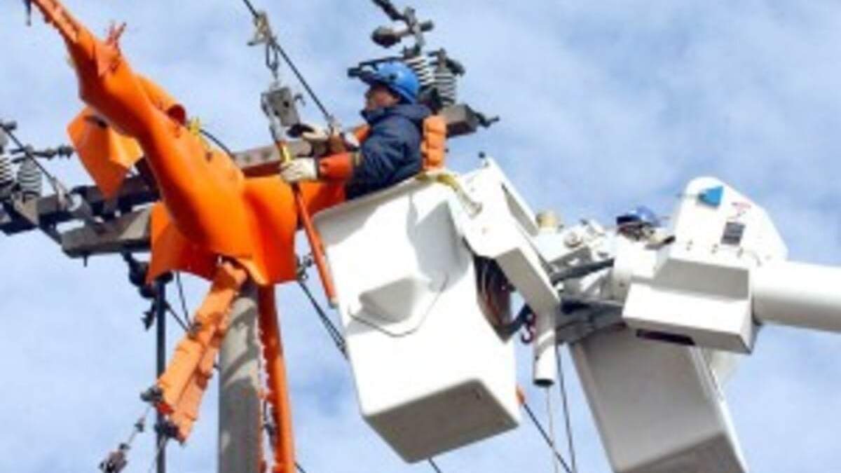 Trabajadores de la CALF. La tarifa social abarcará el servicio de luz. Fuente: (Twitter)