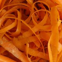 No las tires: aprovechá las cáscaras de zanahoria para preparar el picoteo más saludable del otoño