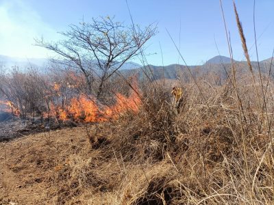 El Ejército activa el Plan DNIII por incendios forestales en Veracruz