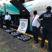 Encuentran 60 kilos de droga ocultos en autobús de pasajeros