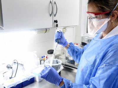 Zapala superó los 460 casos positivos de coronavirus