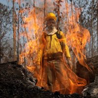 Brasil: nuevos incendios forestales en la Amazonía rompen récords históricos