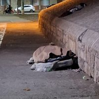 Nadie responde en los teléfonos de Gobierno por la gente de la calle