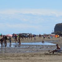 Ojo con los acantilados: mirá el video del derrumbe en una playa de Río Negro