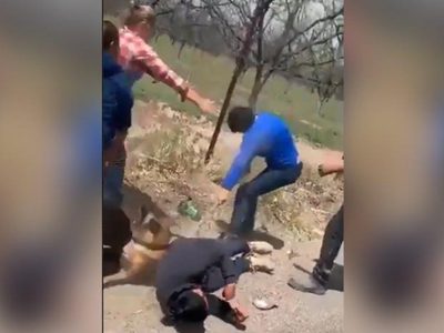 #LadyAzadón manda al hospital a un perro y a un hombre que lo defendía de los golpes