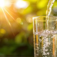 Cómo preparar este sábado el “agua de eclipse” para el poderoso ritual que puede ayudarte a atraer abundancia inmediata