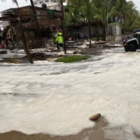 “Nora” derriba árboles y daña restaurantes y carreteras en Colima