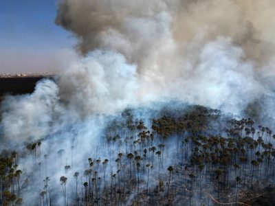 Brasil atraviesa su peor sequía con incendios forestales y el Amazonas en un mínimo histórico