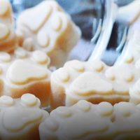 Gomitas nutritivas para tus perros: no gastés y elaborá vos mismo este snack que tu can va a amar