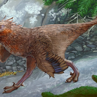Hallaron un dinosaurio terópodo emparentado con aves que vivió en la provincia de Neuquén hace 83 millones de años