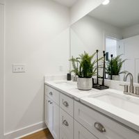 Tres plantas perfectas para embellecer un baño