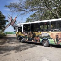 Cuba detecta presencia de influenza aviar y cierra zoológico