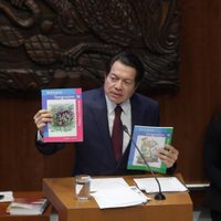 “Los niños que no nacen no van a la escuela”: Mario Delgado durante su comparecencia en el Senado