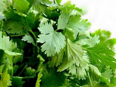 Si el perejil siempre se te pone feo en la heladera, hacé tus propias plantas así de fácil y tenelo fresco a mano