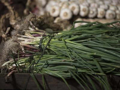 Cebolla de verdeo gratis todo el año: mirá la forma más fácil de cultivarlas sin usar semillas