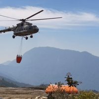 Hay 123 incendios forestales activos en México; reportan avances en Morelos, Oaxaca y Veracruz