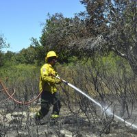 Los incendios en el Parque Nacional Nahuel Huapi ya consumieron 1800 hectáreas