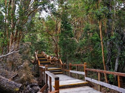 Un rincón de Neuquén, entre los mejores destinos para hacer trekking en el mundo: mirá cómo llegar