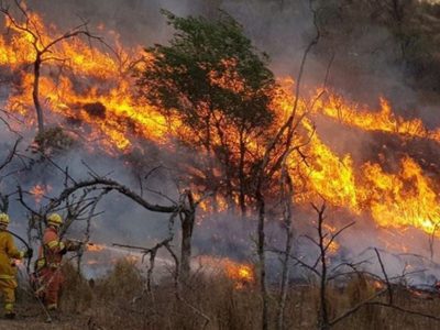 Por los incendios en la Patagonia, pidieron ayuda internacional, pero no prosperó