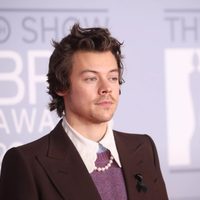 Sorpresa: Harry Styles hizo delirar a sus fans con estas fotos y algo más