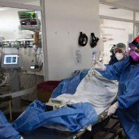 Coronavirus: así está la situación epidemiológica en el país