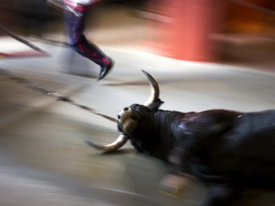 Nueva ley en España busca proteger a los animales, pero permite las corridas de toros