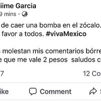 Interjet se disculpa por empleada que publicó: "Debería de caer una bomba en el Zócalo"