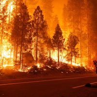 Incendios devastan un récord de más de 800 mil hectáreas en California