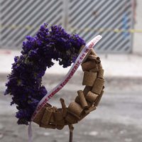 Las secuelas del sismo en la Condesa