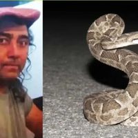 Murió el camionero que fue picado por una serpiente yarará en Cutral Co