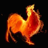 Horóscopo chino: los 3 signos que atraerán el dinero y serán beneficiados por la energía del Gallo