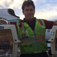 Entra al aeropuerto de Seattle, roba un avión y después lo estrella en una isla (video)