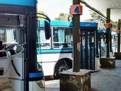 Crece la preocupación por el problema del transporte urbano