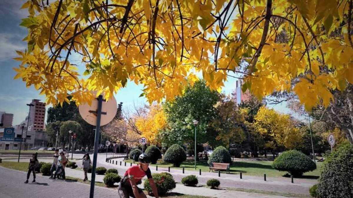 Clima templado de otoño para el feriado del 25. Fuente: (X)