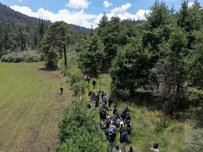 Siguen desapariciones en el Ajusco; la delincuencia opera con impunidad