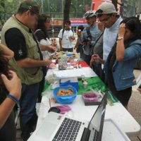 Liberan a seis promotores del uso de la mariguana detenidos en Paseo de la Reforma