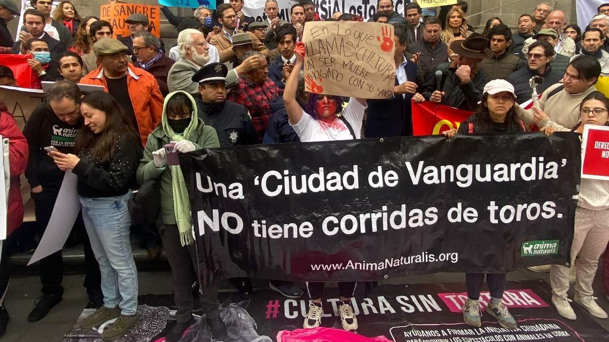 Trabajadores, empresarios y toreros se manifestaron frente a la Suprema Corte para exigir que regresen las corridas de toros; también acudieron manifestaron en contra de la tauromaquia