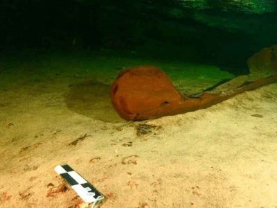 Extraordinario hallazgo: encontraron una milenaria canoa durante las obras del Tren Maya en México