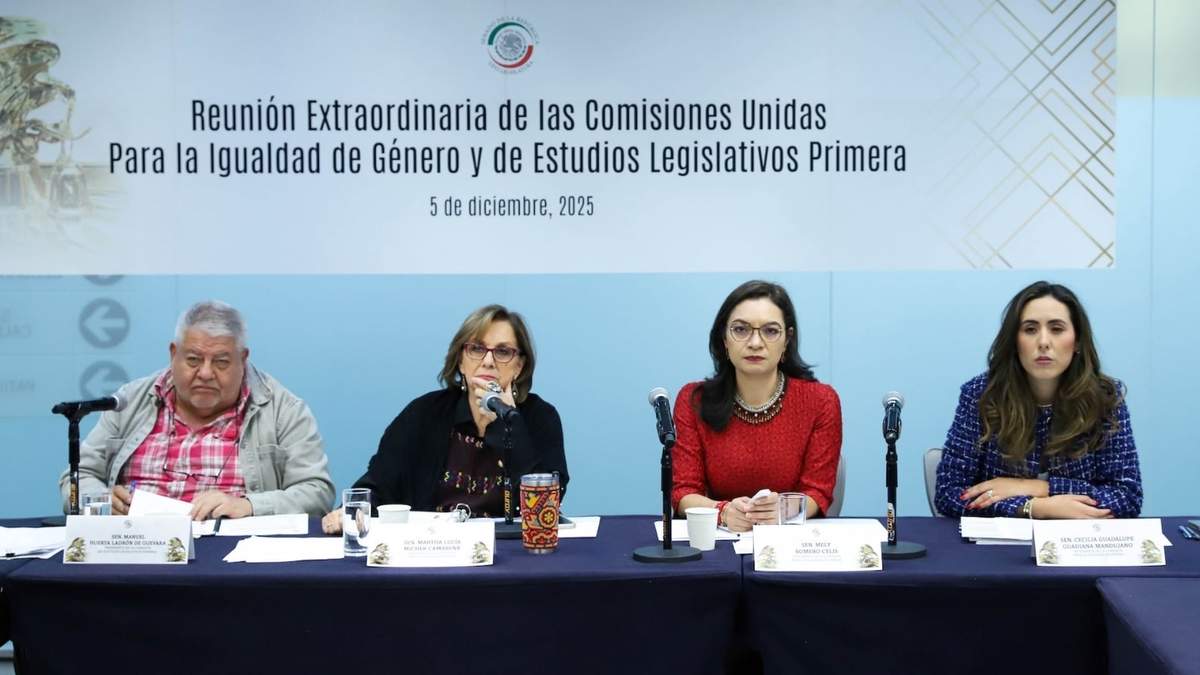 Sesión de comisiones del pasado viernes