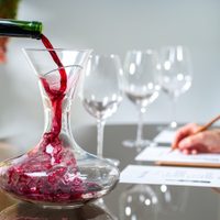 Tecnología digital dice cuál es el mejor vino para cada consumidor