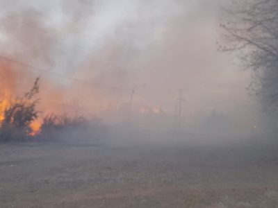 Se prendieron fuego cuatro hectáreas en Plottier
