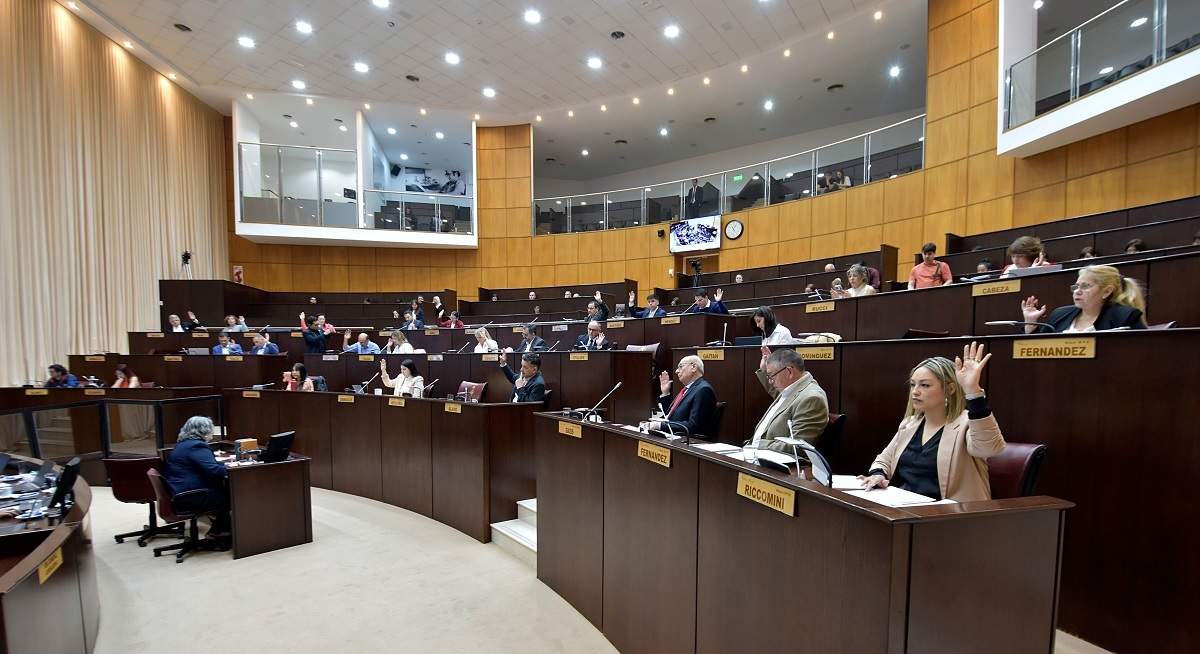 Los diputados aprobaron por mayoría la realización de narcotest obligatorios para los funcionarios de alto rango de la provincia. Fuente (Legislatura de Neuquén)