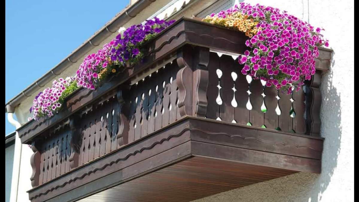 Plantas de balcones. Fuente: (Instagram)