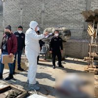 Catean casa de familia que mató a golpes a un perro en Tlalnepantla
