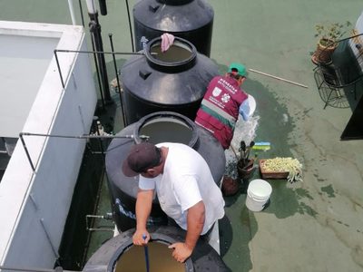 Sin afectación, el agua de 13 pozos en Benito Juárez y Álvaro Obregón: Martí Batres