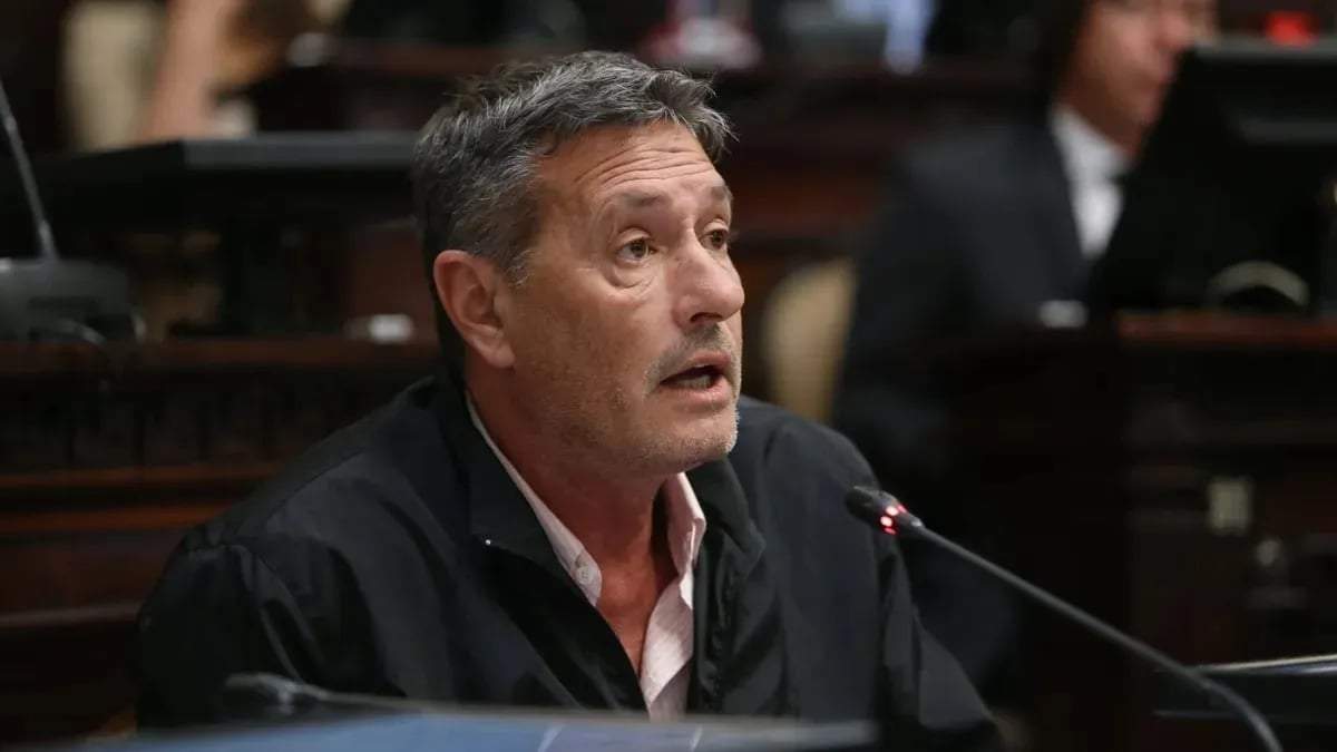 Alejandro Bermejo, exsenador de la provincia de Mendoza. Fuente: (Twitter)